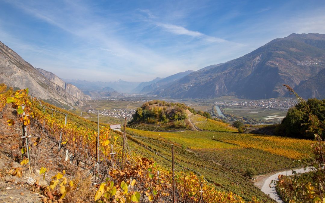Saillon en automne